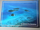 SAINT VINCENT ET LES GRENADINES THE TOBAGO CAYS THE GRENADINES WITH CANOUAN IN THE BACKGROUND - Saint-Vincent-et-les Grenadines