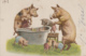 Illustrateurs - Famille Cochon - Animaux Habillés - Bain Baignoire - Pipe - 1er Avril - 1903 - 1900-1949