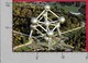 CARTOLINA VG BELGIO - BRUXELLES - Atomium - 10 X 15 - ANN. 1977 RUBENS - Monumenti, Edifici