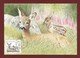 Schweden / Sverige   Mi.Nr. 1700 , The Stamp " Roe Deer And Kid " - Maximum Card Nr. 64 - 1992.01.30 - Cartes-maximum (CM)