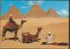 °°° 13131 - EGYPT - GIZA - PRAYER NEAR THE PYRAMIDS - 1979 With Stamps °°° - Gizeh