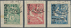 Französische Besetzung I. WK - Insel Ruad: 1916, 5 C, 10 C And 1 Piaster On 25 C. Each On Piece Canc - Autres & Non Classés