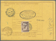 Italien - Ganzsachen: 1923/1926 Six Parcel Cards From Italy To Istanbul / Constantinople. Turkish St - Entiers Postaux