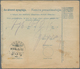 Jugoslawien: 1919, 10f Blue/old White Bilingual Hungarian COD Parcel Card, Accompanying Parcel Of 19 - Ungebraucht