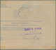 Jugoslawien: 1919. Old Austrian 12h Blue/white Trilingual Vale Declared COD Parcel Card Accompanying - Ungebraucht