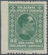 Jugoslawien: 1926, Definitives King Alexander, 25pa. Green, Left Marginal Copy Showing Variety "impe - Neufs
