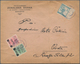 Jugoslawien - Portomarken: 1921. Envelope (toned, Vertical Fold, Tear At Top) Addressed To Bosnia Be - Timbres-taxe