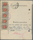 Lettland: 1919. MONEY ORDER (PASTO PERLAIDA), Black/old White Form, For The Sum Of 1,000A, Franked 1 - Lettland