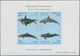 Monaco: 1992/1994, Whales And Dolphins Set Of Three Different IMPERFORATE Miniature Sheets, Mint Nev - Oblitérés