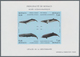 Monaco: 1992/1994, Whales And Dolphins Set Of Three Different IMPERFORATE Miniature Sheets, Mint Nev - Oblitérés