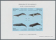 Monaco: 1992/1994, Whales And Dolphins Set Of Three Different IMPERFORATE Miniature Sheets, Mint Nev - Gebraucht