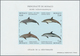 Delcampe - Monaco: 1992/1994, Whales And Dolphins Set Of Three Different IMPERFORATE Miniature Sheets, Mint Nev - Oblitérés