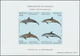 Delcampe - Monaco: 1992/1994, Whales And Dolphins Set Of Three Different IMPERFORATE Miniature Sheets, Mint Nev - Used Stamps