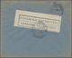 Serbien: 1919, King Peter I./Crown Prince Alexander 25pa. Blue, Single Franking On Cover From "SKOPJ - Serbia