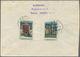 Sowjetunion: 1941, Estonian SSR, Attractive Franking Of Eight Values On Front/on Reverse In Combinat - Lettres & Documents