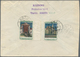 Sowjetunion: 1941, Estonian SSR, Attractive Franking Of Eight Values On Front/on Reverse In Combinat - Briefe U. Dokumente