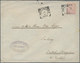 Deutsch-Neuguinea - Besonderheiten: 1898, INCOMING MAIL: Niederländisch-Indien, 25 C Lila "Wilhelmin - Nouvelle-Guinée