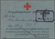 Kriegsgefangenen-Lagerpost: 1943, Bestätigungskarte Mit Adress-Vordruck An Das Zentralnachweis-Büro - Other & Unclassified