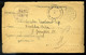 TEMESVÁR 1919.07. Érdekes Témájú, Cenzúrázott, Helyi Szükség Levlap  /  Intr. Cont. Cens. Local Improvised P.card - Covers & Documents