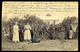 SÁRBOGÁRD 1904. Szőlő, Szüret, Fotós Képeslap  /  1904 Vineyards, Harvest, Photo Vintage Pic. P.card - Hungary