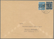 Bizone: 1948, 4 Pf Graublau Ziffer Mit Netzaufdruck Und 20 Pf Arbeiter Mit Bandaufdruck, Portogerech - Other & Unclassified