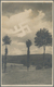 Ansichtskarten: Propaganda: 1930/1934, 3 Fotokarten Mit Aufgehender Hakenkreuz-Sonne Aus Berchtesgad - Parteien & Wahlen