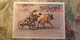 Regional Game,OLD USSR Postcard  - Bull Race  In India - - 1981 - Jeux Régionaux