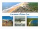 Delcampe - LOT N°930 - LOT DE + 50 CARTES DE LACANAU-OCEAN - BEAUCOUP DE MULTIVUES - Altri & Non Classificati