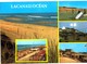 Delcampe - LOT N°930 - LOT DE + 50 CARTES DE LACANAU-OCEAN - BEAUCOUP DE MULTIVUES - Altri & Non Classificati