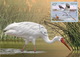 RUSSIA 2019 2436. "Europe" Program Issues. Birds. Siberian Cranes (POST OFFICE: Moscow, Ryazan, St. Petersburg) - Storks & Long-legged Wading Birds