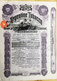 ARGENTINE TOBACCO C° Limited   100 Preference Shares Of  1£ Each 12 April 1912 - Autres & Non Classés