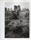 Livres Des Allignements  Des Menhirs  A Carnac     Parole De Pierrre    Photographies De Solveigh Kaehler  39 Photos - Bretagne