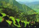 Philippines-Banawe Rice Terraces  8 Th Wonder Of The World   -Recto Verso -Paypal Free - Philippines