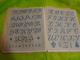 Album Dessins Alphabets+divers 10 Pages-22x16 Cm Environ-neuheiten In Stick Album Novelty Embroidery Patterns Type Sajou - Autres & Non Classés