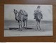 Delcampe - 27 Oude Kaartjes Met KAMELEN - CAMELS (zie Foto's) - 5 - 99 Cartes