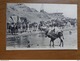 Delcampe - 27 Oude Kaartjes Met KAMELEN - CAMELS (zie Foto's) - 5 - 99 Cartes