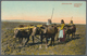 Ansichtskarten: Alle Welt: ASIEN, Knapp 150 Historische Ansichtskarten Aus Den Jahren 1900/1950 Mit - Unclassified