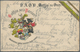 Ansichtskarten: Österreich: 1905/1921 Ca., SPENDENMARKEN Auf Ansichtskarten: Aussergewöhnliches Konv - Sonstige & Ohne Zuordnung
