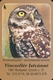 OWL * BURROWING OWL * BIRD * ANIMAL * BUDAPEST * CALENDAR * GY 2008 07 * Hungary - Petit Format : 2001-...