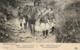 Militaria - Guerre 14/18 - Chasseurs Alpins Sur Les Hauts De Meuse - C 3975 - Guerre 1914-18