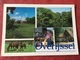 Nederland. Pays-Bas. Holland. Overijssel Paarden - Paarden