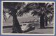 Turkey Izmir License Plate,Peugeot 203,old Car,old Photo Postcard - Turchia