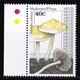 THEMATIC MUSHROOM - NEVIS - Funghi