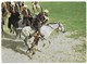 Afghanistan Buzkashi (Photo By Asefi) - Afghanistan