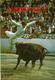 CPM - CORRIDA - Course Landaise - Saut De L'Ange - Edit. VIGNES N° 1281 - Scans Recto-Verso - Corrida