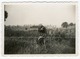 Portrait D&#039;un Homme Sur Sa Moto Dans Les Champs, Aout 1936. Photo Sortie D&#039;un Album D&#039;un Voyage En Europe - Altri & Non Classificati