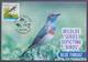 Delcampe - PAKISTAN MAXIMUM CARD 2001 - Protect Wildlife "Birds" Complete Set Of 4 Different Cards, Limited Issued - Pakistan