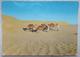 FEZZAN - Carovana - Caravan - Camels LIBYA-  Vg - Libyen