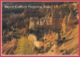 BRYCE CANYON NATIONAL PARK * Photo Josef Muench* 2 SCANS - Bryce Canyon