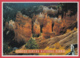 BRYCE CANYON NATIONAL PARK * Photo Josef Muench * * 2 SCANS - Bryce Canyon